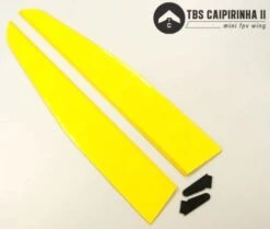 TBS Caipirinha 2 Elevons